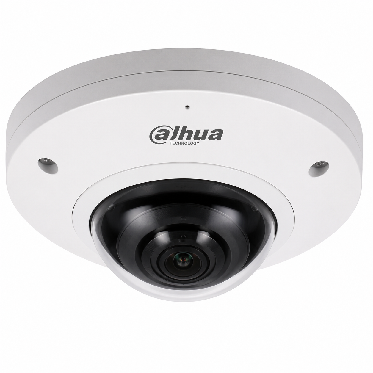 Fisheye Camera