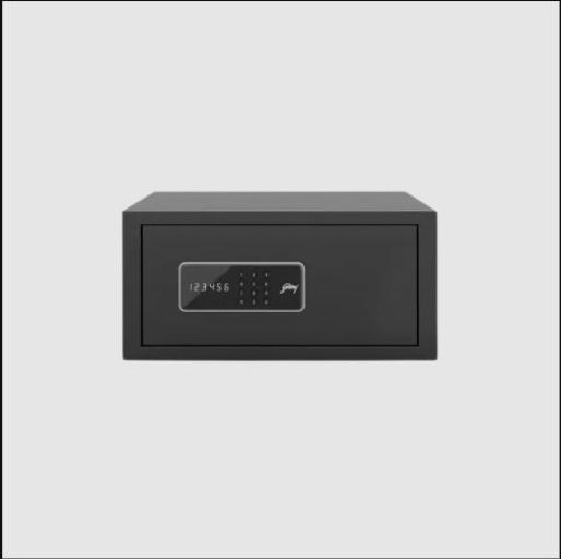 Godrej NX Pro 25L